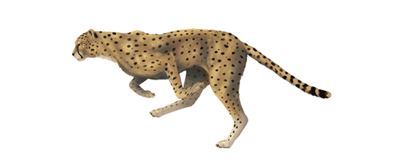 これぞphotoshop プロ級テクニックを学ぶチュートリアル 作り方27個まとめ 14年7月度 Photoshopvip