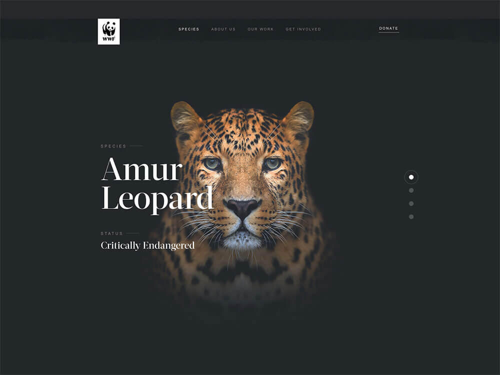 HTML/CSSで表現できる、すごいテキストエフェクト用スニペット44個