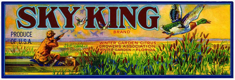 著作権フリー フルーツ配送用のカラフルな木枠ビンテージラベル600枚コレクション Photoshopvip